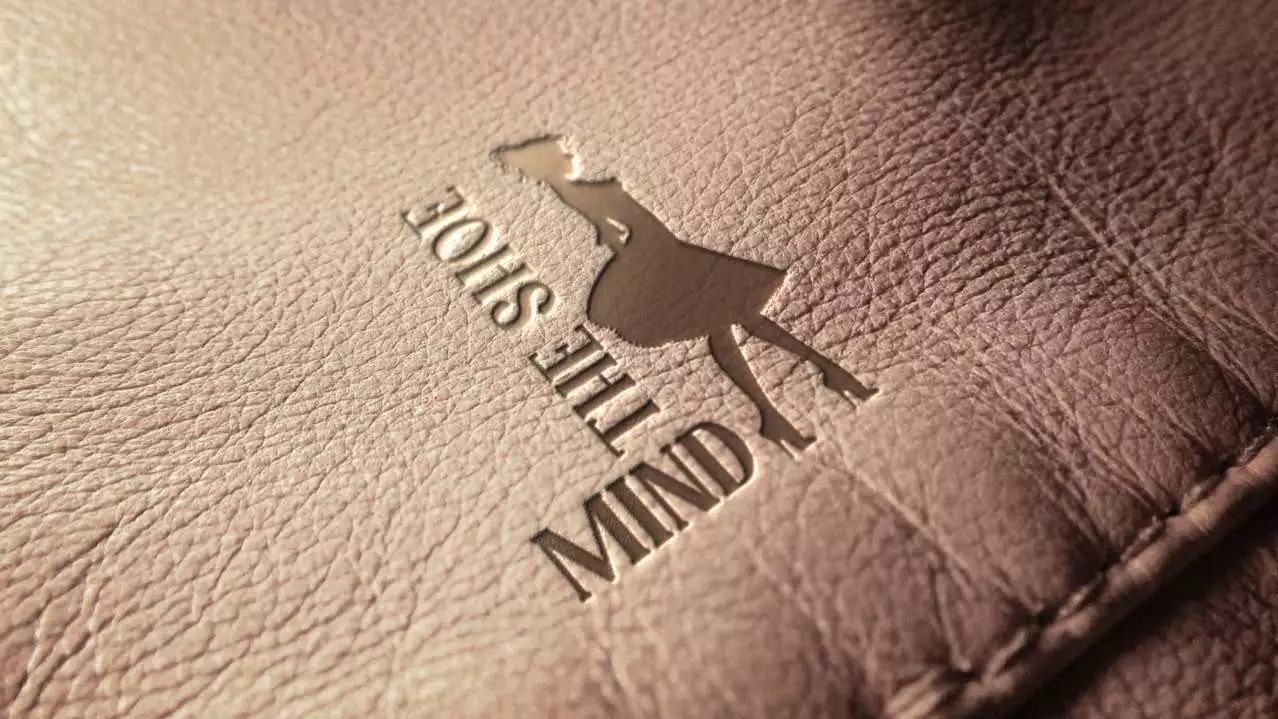 mindtheshoe – Logo
